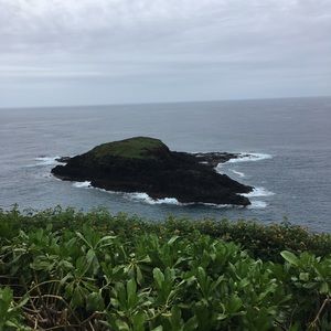 Meet your Posher, Ronan